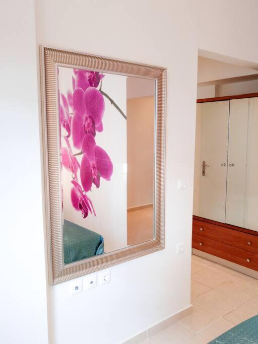Orchid Apartments Thérmi Rum bild