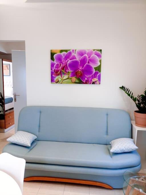 Orchid Apartments Thérmi Rum bild